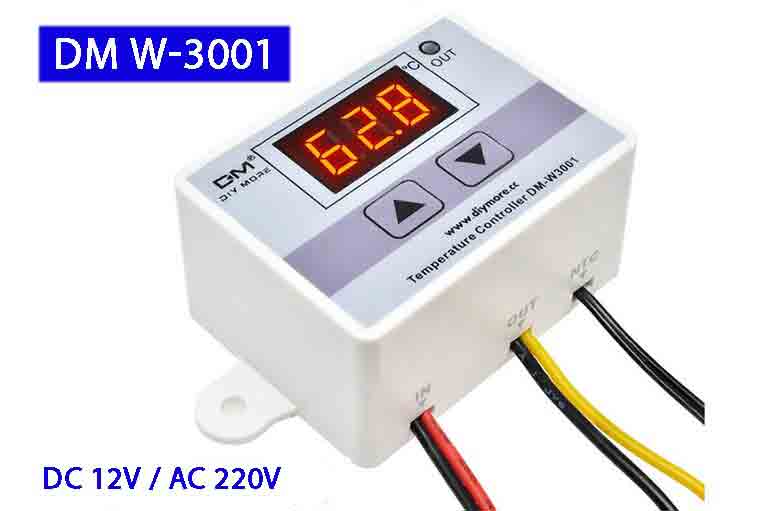 DM W3001