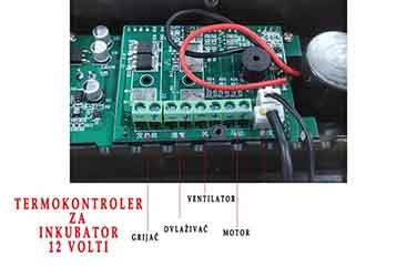 Termoregulator za inkubator ZFX W9002 