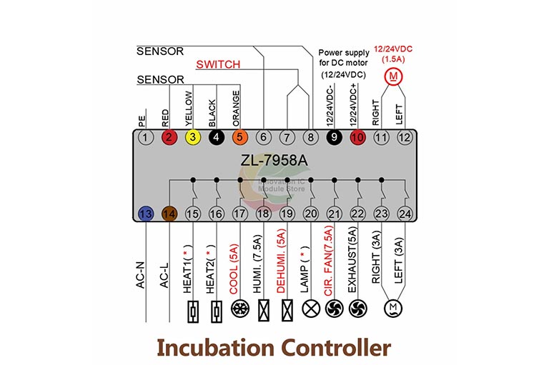 Termoregulator ZL-7958A